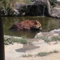 白浜！アドベンチャーワールド