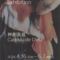 MAYUMI II Photo Exhibition