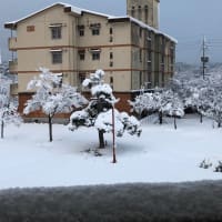 2021年