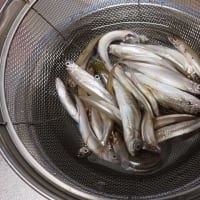 MMｎ！　　１０年ぶり？　　　その４