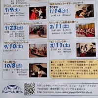 シューベルトの名言 あき子日記