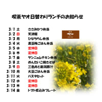 3/1～3/14日替わりランチのお知らせ
