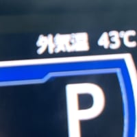 7月7日(月）②