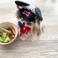 もうすぐ完成～★ぽっぷきゃ～る…ﾛﾄﾛﾎﾟｯﾌﾟ…💝