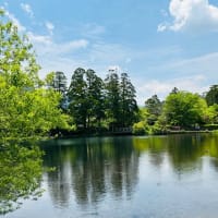 久しぶりの湯布院旅行