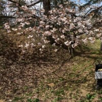 4月27日(日)　ありがとう！！