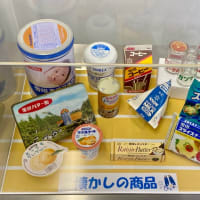 北海道～阪神戦応援旅行⑤