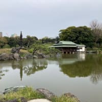 お花見🌸クルーズ
