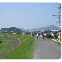 ２　安佐北ノルディック・ウォーク392　　護岸道路をウォーク中