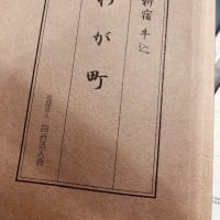 孫文の居宅がすぐご近所に？！（筑土八幡町と新小川町）