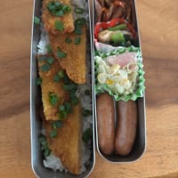 お弁当シリーズ。4月18日