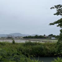 25日からのウォーキング