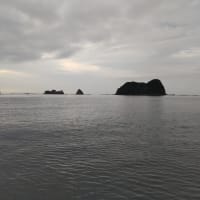 昨日は・・・