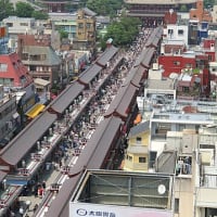 東京浅草・浅草寺ほおずき市
