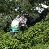 新宮あじさいの里