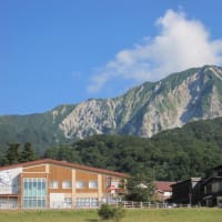 鳥取の神社へ