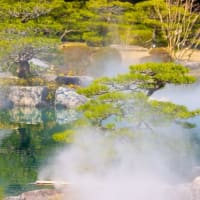 福岡市 大濠公園日本庭園の雲海