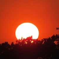 6月4・5日の夕暮れ空
