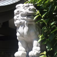 庚嶺坂 （ゆれいさか）を登った所に神楽坂若宮八幡宮！住宅街のど真ん中に有ります！