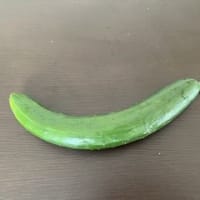 今日の庭作業