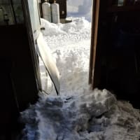 雪害