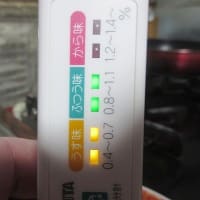 減塩の塩ラーメン