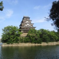 夏の広島城　猛暑日が続く広島の街・・・炎天下のもとのテクテク散歩は危険！熱中症や体調管理にお気をつけくださいね