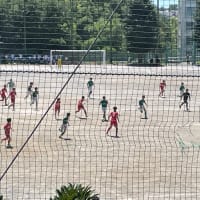 令和3年度 横浜市中学校総合体育大会 サッカーの部 兼 神奈川県中学校総合体育大会 横浜地区予選会 組み合わせ 横浜の印刷会社 関プリ印刷営業マンのブログ 令和3年度 横浜市中学校総合体育大会 サッカーの部 兼 神奈川県中学校総合体育大会 横浜地区予選会 組み合わせ 横浜の印刷会社 関プリ印刷営業マンのブログ