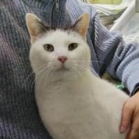 妙に静かだね～(。´･ω･)?