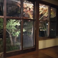 板橋前野温泉 前野原温泉さやの湯処 ★★★ 
