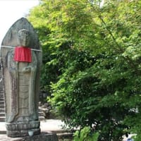 矢田寺 紫陽花