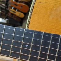 コロナをギターの美しい倍音で洗い流したい