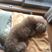 自戒自省（じかいじせい）