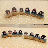ぽっちゃり文鳥講座 in 岐阜　栄