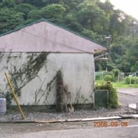 いい公約だなぁ