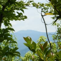 0607　黍生山（2）