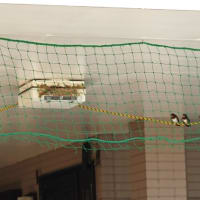 無事に巣立ったツバメ4兄弟