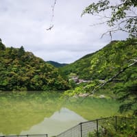 世界遺産を歩きませんか⁉️