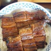 岐阜県関市にある、うなぎの「しげ吉」に行きました。
