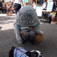 アースデイ東京　2025報告