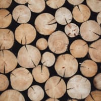 木元貴章の建築ブログ/木造高層建築が都市を変える？進化する技術と環境配慮の最前線