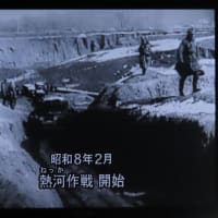 DVD「昭和天皇の時代」【2】を視聴して（2025）・・・若き天皇の誕生（天皇即位～満州事変）