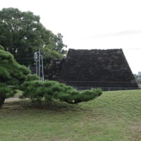  2024年10月5日～　墓終いの旅で愛媛へ　その8  　10月7日チェックアウトの前に　駅近くと　また　手打ち十段うどんバカ一代へ