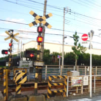 京成金町線、後方は金町浄水場