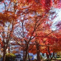 Windows11 24H2　バージョンアップ該当するか、否か、一寸面倒