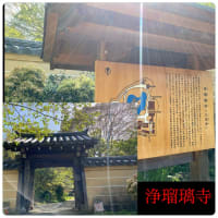 奈良＆京都旅行 神社仏閣