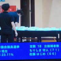 市議選狂騒曲