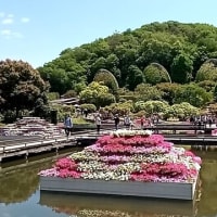 2025年5月9日の越後湯沢
