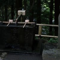 明日は雑用処理日