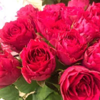 どうかそのまま、変わらずにいて… My funny valentine